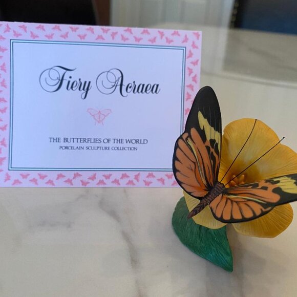 Butterflies From Around the World on their own Native Flowers - Picture 6 of 9